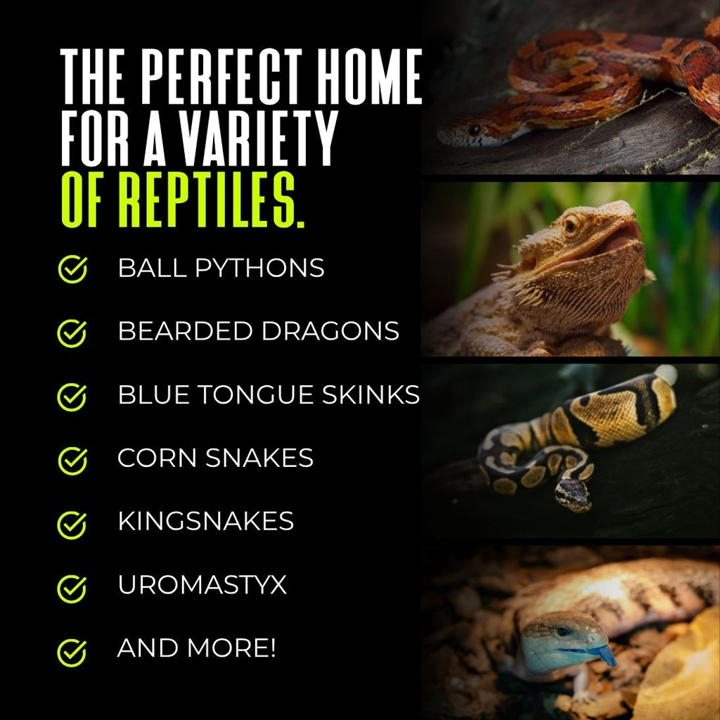 4x2x2 PVC Reptile Habitat with Swing-Open Doors | Rack Theory