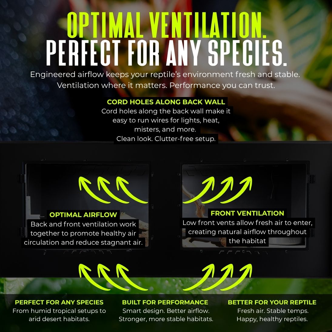 4x2x2 PVC Reptile Habitat with Swing-Open Doors | Rack Theory